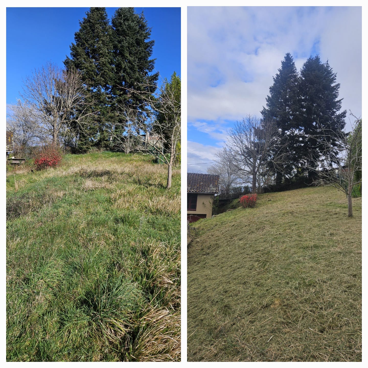 Débroussaillage d'un terrain recouvert d'herbes hautes à Saint Gaudens