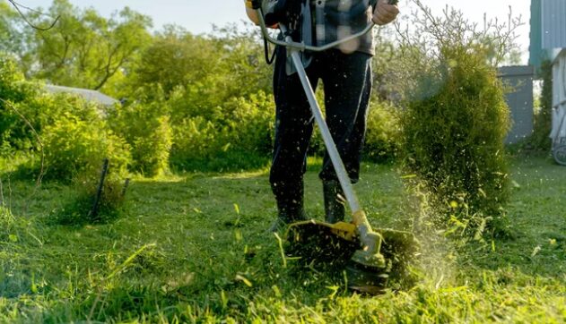 Débroussaillage de votre jardin pour embellir vos espaces verts à Tarbes